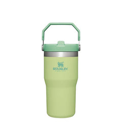 Stanley The 20oz IceFlow? Flip Straw Tumbler in Citron