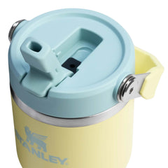 Stanley The 14oz IceFlow Flip Straw in Pomelo