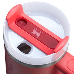Stanley The 14oz Quencher H2.0 Flowstate? Tumbler in Hot Coral