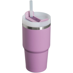 The Quencher H2.0 FlowState™ Tumbler | 20 OZ - Stanley Create