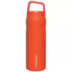 Stanley 24oz Stainless Steel IceFlow Aerolight Water Bottle Cap and Carry