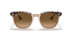 Ray-Ban Hawkeye RB2298