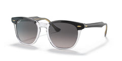 Ray-Ban Hawkeye RB2298