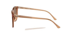 Ray-Ban RB2210