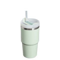 Stanley The 20oz Quencher H2.0 FlowState? Tumbler in Mist