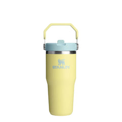 Stanley The 14oz IceFlow Flip Straw in Pomelo