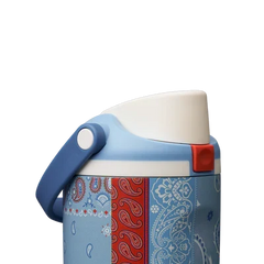 Owala 30oz FreeSip? Sway  Common Threads