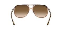 Ray-Ban Bill RB2198