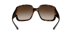Ray-Ban Powderhorn RB4347