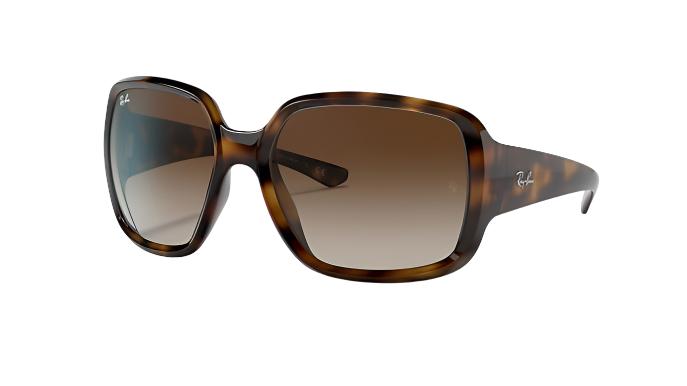 Ray-Ban Powderhorn RB4347