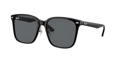 Ray-Ban RB2206D