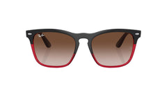 Ray-Ban Steve RB4487