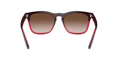 Ray-Ban Steve RB4487