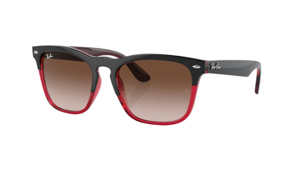 Ray-Ban Steve RB4487