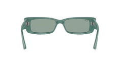 Ray-Ban Teru RB4425