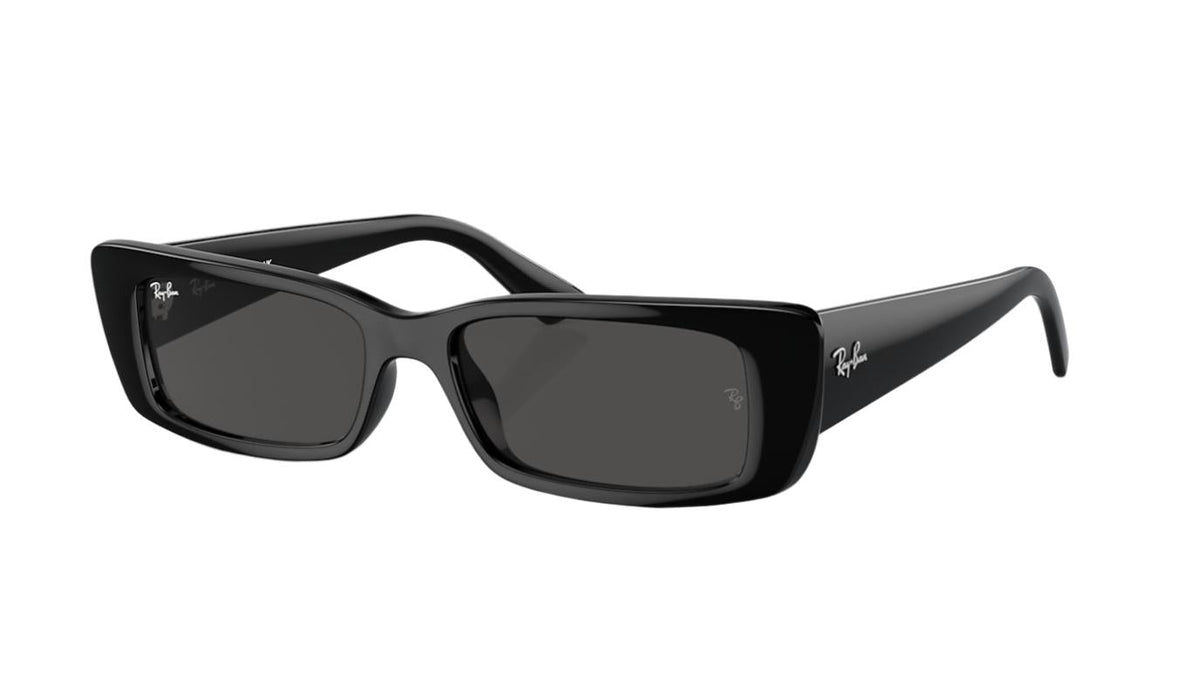 Ray-Ban Teru RB4425