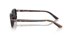 Ray-Ban Zuri RB4455