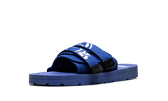 Cosmic Slides Wedgewood 821 4806 WEDGEWOOD